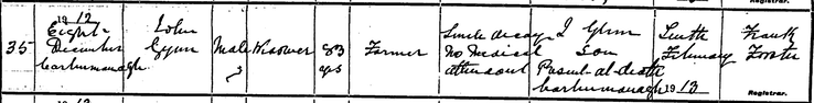 Death 1912 John Glynn 8th Dec born 1829 brother of Ellen at Carrowmanagh