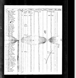 Immigration 1885 Kate Glynn born 1866 age 19 arrives Massachusetts 13th July 1885