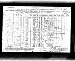 Immigratrion 1897 Mary Glynn age 22 visiting aunt  Ellen Brassell in Milford