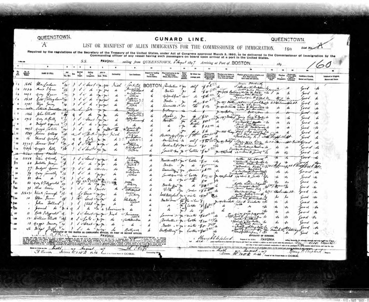 Immigratrion 1897 Mary Glynn age 22 visiting aunt  Ellen Brassell in Milford