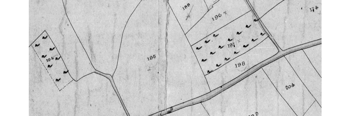 Map of Upper End Monkland in Tithe Map 1842