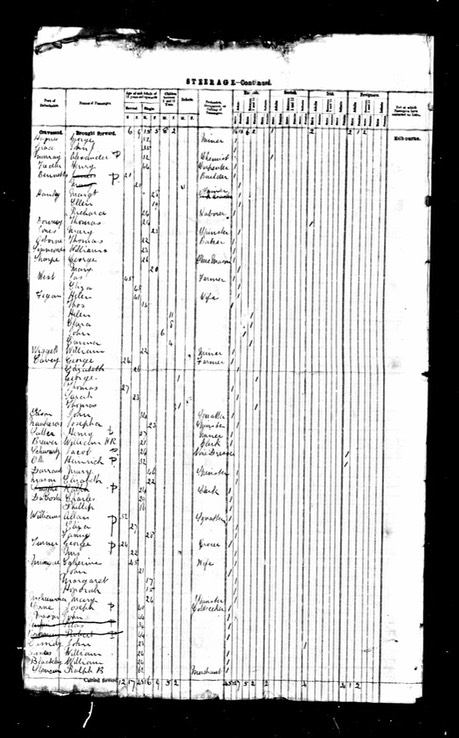 Travel 1879 Allan Williams, wife Eliza and sister Fanny (Frances) Liverpool to Victoria