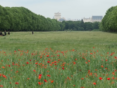 3rd June Paris9.JPG