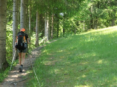 7th June Hintersteinersee11.JPG