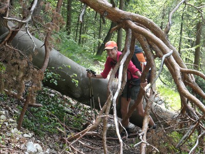 9th June Riedenberg4.JPG