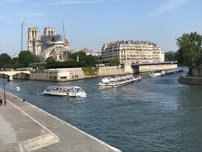 Notre Dame after Fire