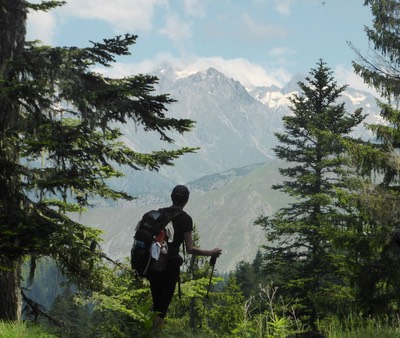 Photo shopped Large View of Alps