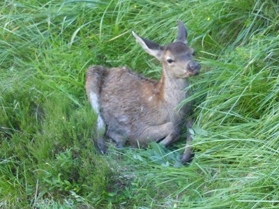 12July Bagneres de Luchon3.JPG