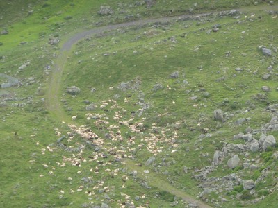 30 June Cauterets19.JPG