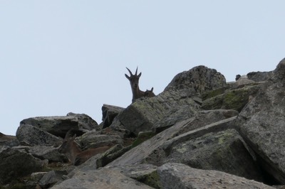 1 Sep Ceresole Reale19.JPG