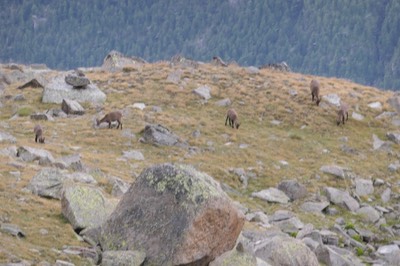 1 Sep Ceresole Reale31.JPG