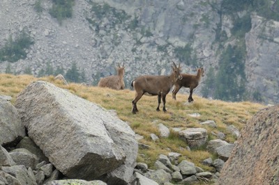 1 Sep Ceresole Reale35.JPG