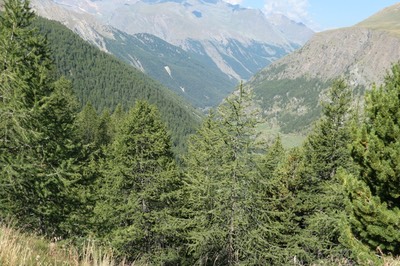 23 Aug Cogne23.JPG