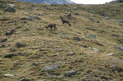 24 Aug Rifugio Vittorio Sella30.JPG