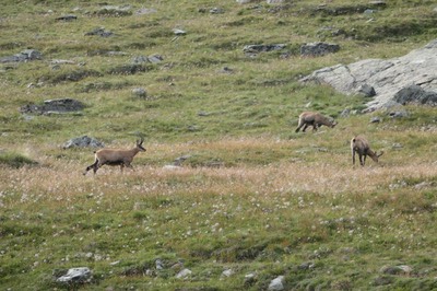 24 Aug Rifugio Vittorio Sella45.JPG