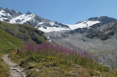 27 Aug Rifugio Bezzi27.JPG