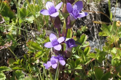 28 Aug Rifugio Benevolo40.JPG