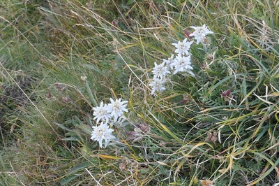 29 Aug Rifugio Savoia2.JPG