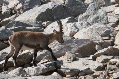 30 Aug Rifugio Vittorio Emanuele20.JPG