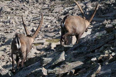 30 Aug Rifugio Vittorio Emanuele14.JPG