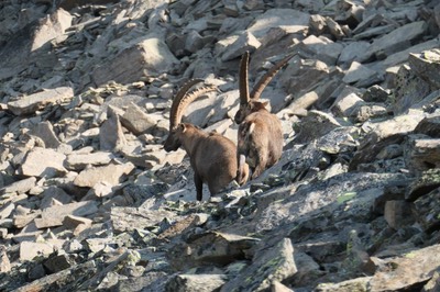 30 Aug Rifugio Vittorio Emanuele16.JPG