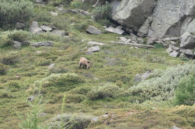 31 Aug Rifugio Savoia9.JPG