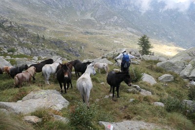 8 Sep Le Capanne17.JPG