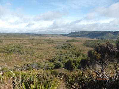 20 Mar Saxon Hut3