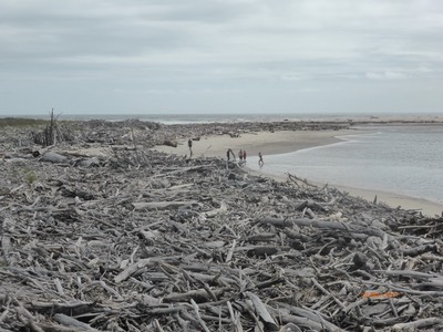 22 Mar Heaphy Hut11.jpg