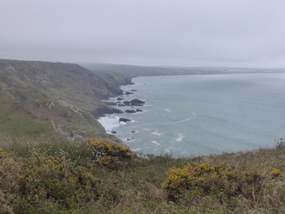 22nd April Port Isaac12.JPG