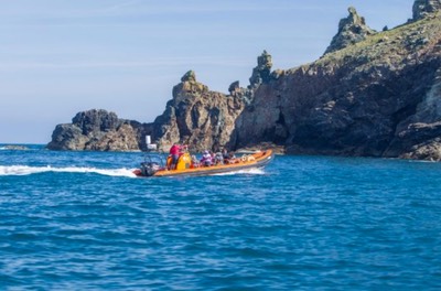 23rd April Padstow Seals searching Rumps Pount.png