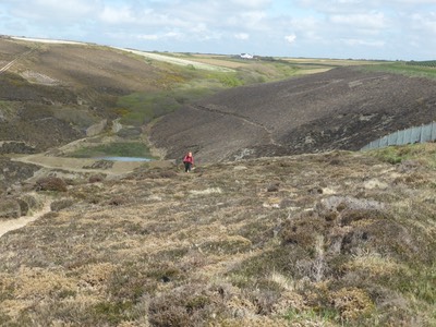 28th April Portreath24.JPG