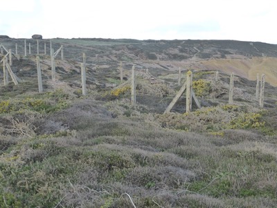 28th April Portreath2.JPG