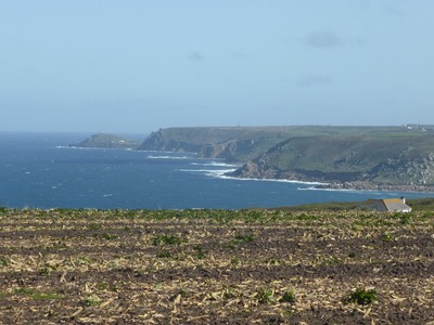 2nd May Lamorna3.JPG