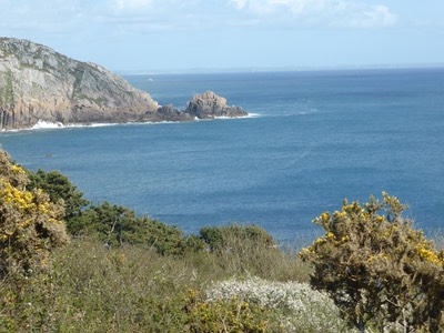 2nd May Lamorna42.JPG