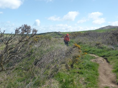 30th April Pendeen13.JPG