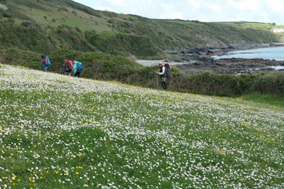 15th May Portholland4845