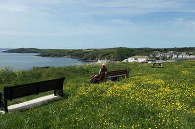 18th May Polperro4901