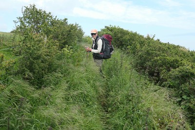 19th May Portwrinkle4916