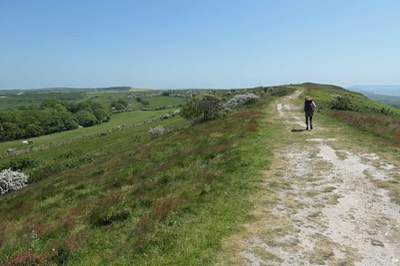 1st June Abbotsbury5172