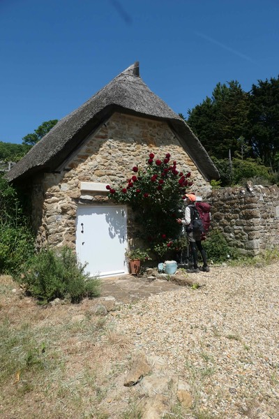 1st June Abbotsbury5179