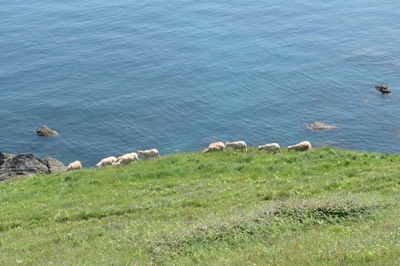 24th May Beesands5007