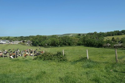 3rd June Lulworth Cove5209